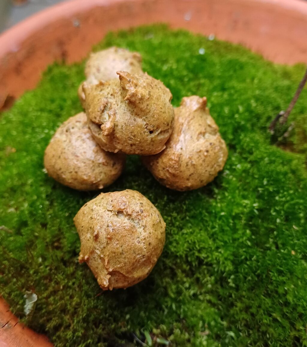 Thunfisch Kürbis Kekse für Hunde